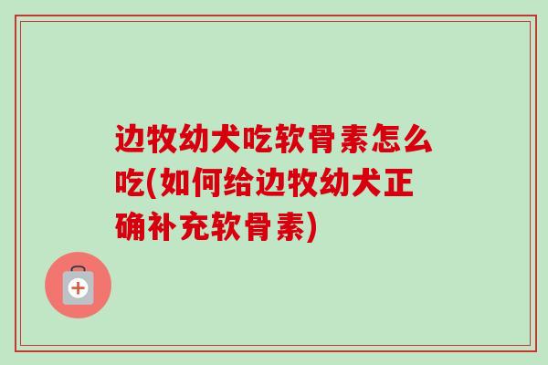 边牧幼犬吃软骨素怎么吃(如何给边牧幼犬正确补充软骨素)