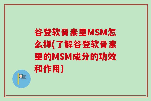 谷登软骨素里MSM怎么样(了解谷登软骨素里的MSM成分的功效和作用)