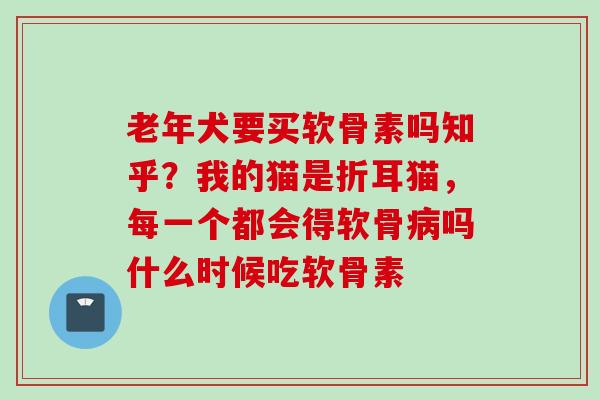 老年犬要买软骨素吗知乎？我的猫是折耳猫，每一个都会得软骨病吗什么时候吃软骨素
