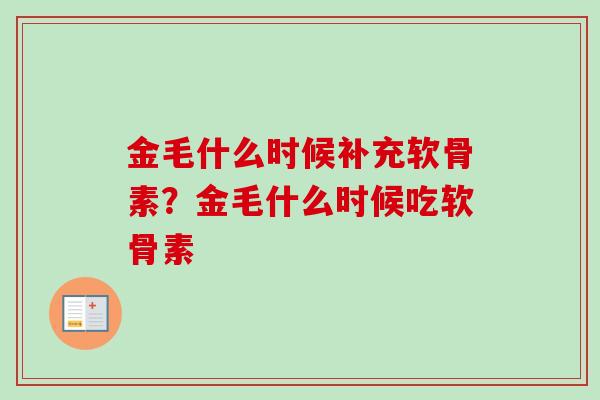 金毛什么时候补充软骨素？金毛什么时候吃软骨素