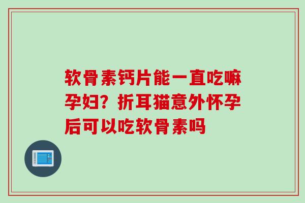软骨素钙片能一直吃嘛孕妇？折耳猫意外怀孕后可以吃软骨素吗