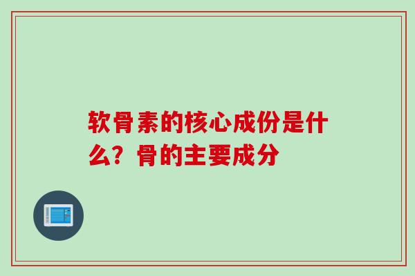 软骨素的核心成份是什么？骨的主要成分