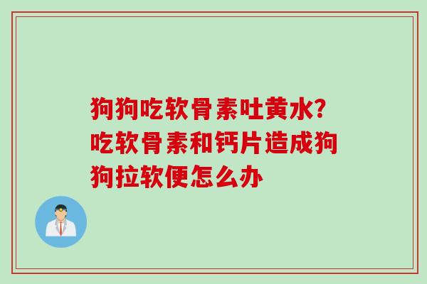狗狗吃软骨素吐黄水？吃软骨素和钙片造成狗狗拉软便怎么办