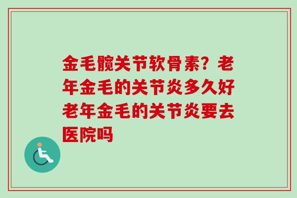 金毛髋关节软骨素?老年金毛的多久好老年金毛的要去医院吗 金毛髋关节软骨素?老年金毛的多久好老年金毛的要去医院吗