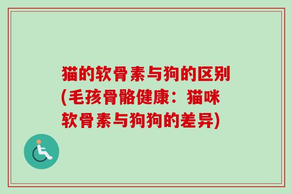 猫的软骨素与狗的区别(毛孩骨骼健康：猫咪软骨素与狗狗的差异)