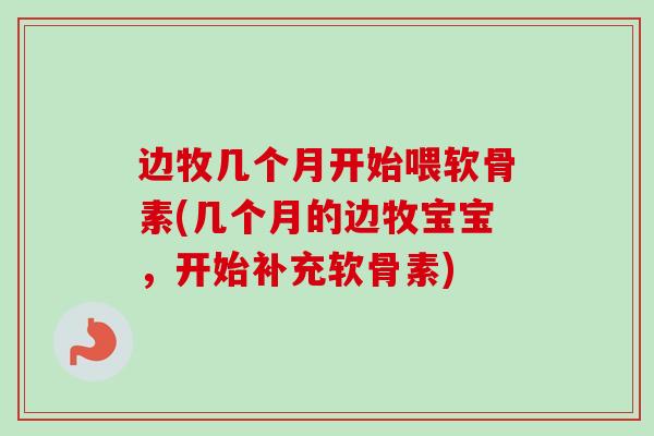 边牧几个月开始喂软骨素(几个月的边牧宝宝，开始补充软骨素)