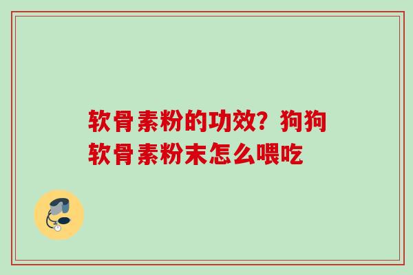 软骨素粉的功效？狗狗软骨素粉末怎么喂吃