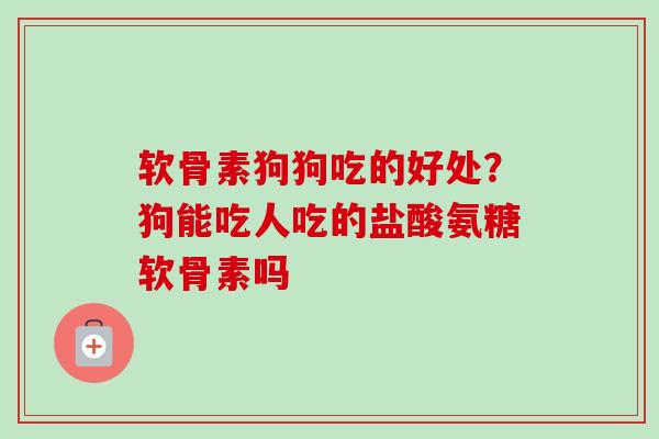 软骨素狗狗吃的好处？狗能吃人吃的盐酸氨糖软骨素吗