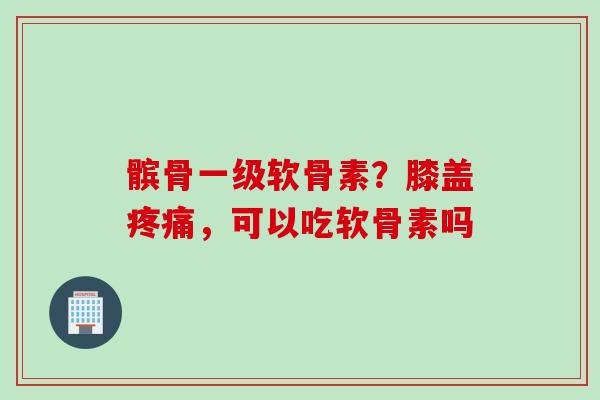 髌骨一级软骨素?膝盖疼痛,可以吃软骨素吗 髌骨一级软骨素?膝盖疼痛,可以吃软骨素吗