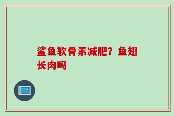 鲨鱼软骨素减肥？鱼翅长肉吗