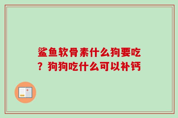 鲨鱼软骨素什么狗要吃？狗狗吃什么可以补钙