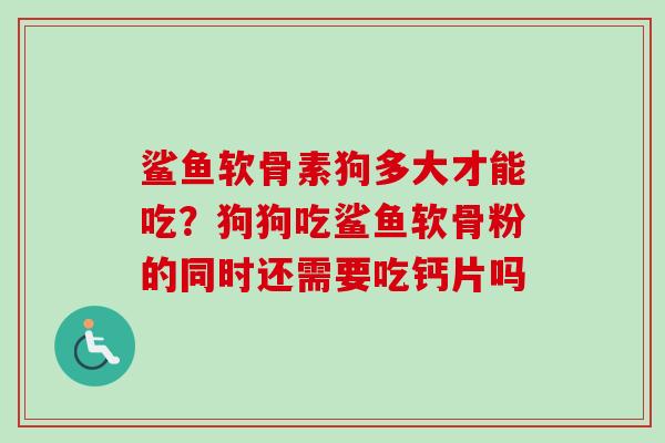 鲨鱼软骨素狗多大才能吃？狗狗吃鲨鱼软骨粉的同时还需要吃钙片吗