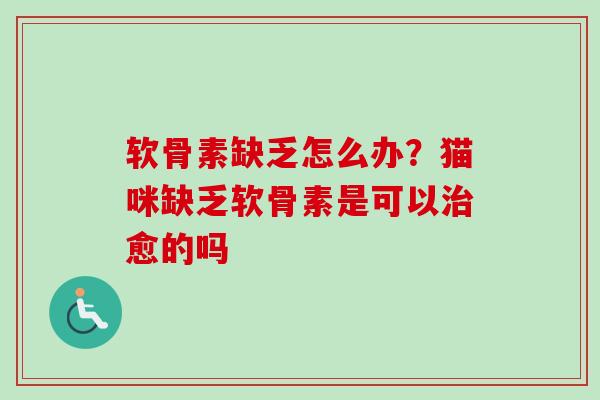 软骨素缺乏怎么办？猫咪缺乏软骨素是可以治愈的吗