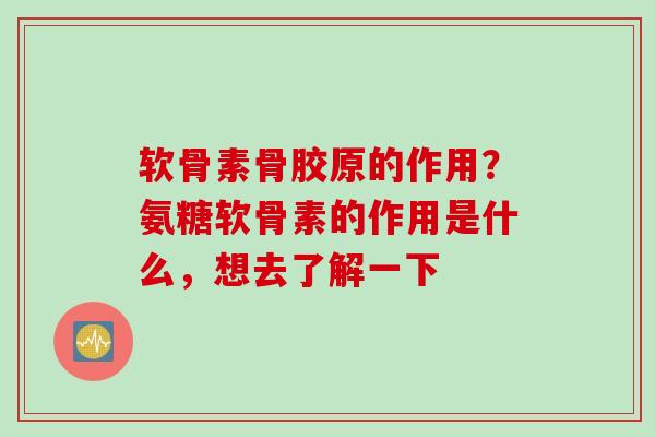 软骨素骨胶原的作用？氨糖软骨素的作用是什么，想去了解一下
