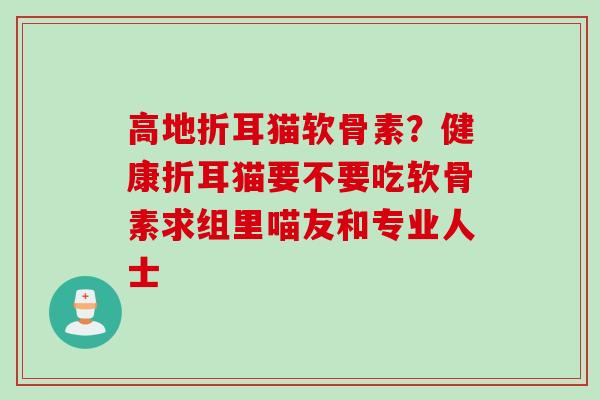 高地折耳猫软骨素？健康折耳猫要不要吃软骨素求组里喵友和专业人士