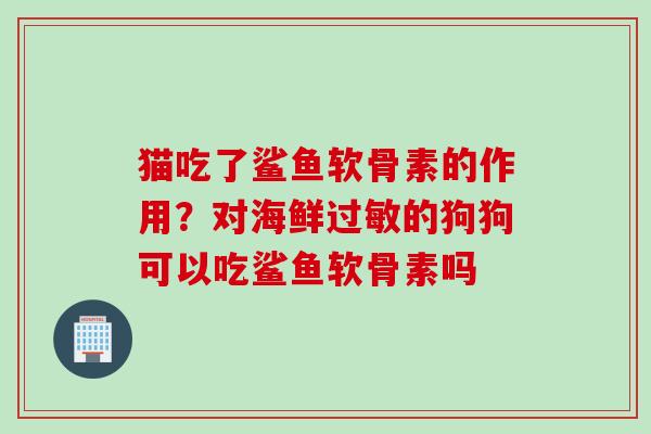 猫吃了鲨鱼软骨素的作用？对海鲜过敏的狗狗可以吃鲨鱼软骨素吗