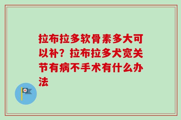 拉布拉多软骨素多大可以补？拉布拉多犬宽关节有病不手术有什么办法