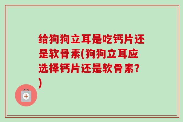 给狗狗立耳是吃钙片还是软骨素(狗狗立耳应选择钙片还是软骨素?) 给狗狗立耳是吃钙片还是软骨素(狗狗立耳应选择钙片还是软骨素?)