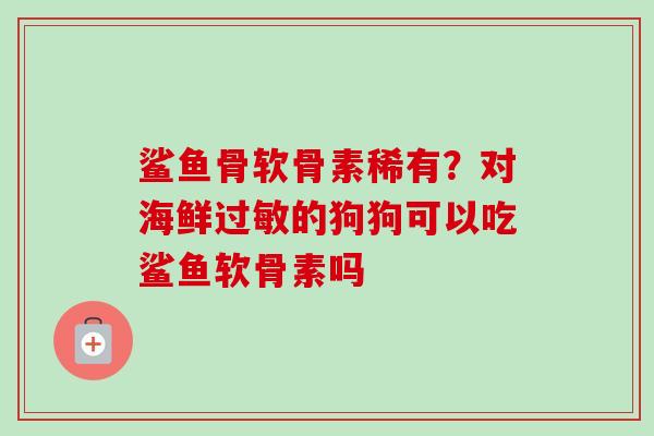 鲨鱼骨软骨素稀有？对海鲜过敏的狗狗可以吃鲨鱼软骨素吗