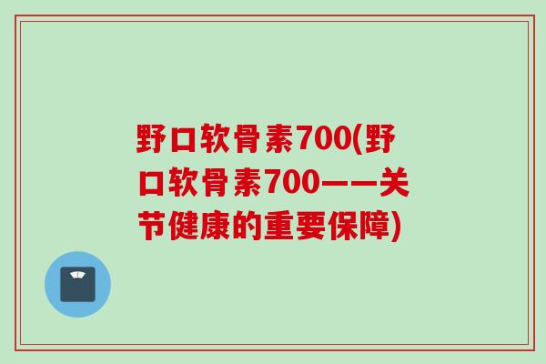 野口软骨素700(野口软骨素700——关节健康的重要保障)