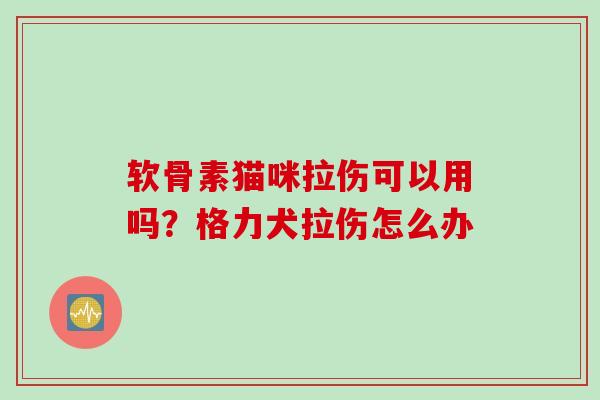 软骨素猫咪拉伤可以用吗？格力犬拉伤怎么办