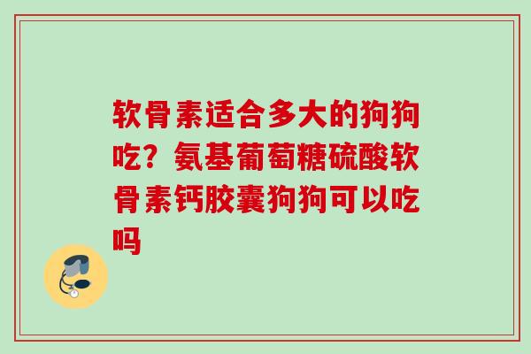 软骨素适合多大的狗狗吃？氨基葡萄糖硫酸软骨素钙胶囊狗狗可以吃吗