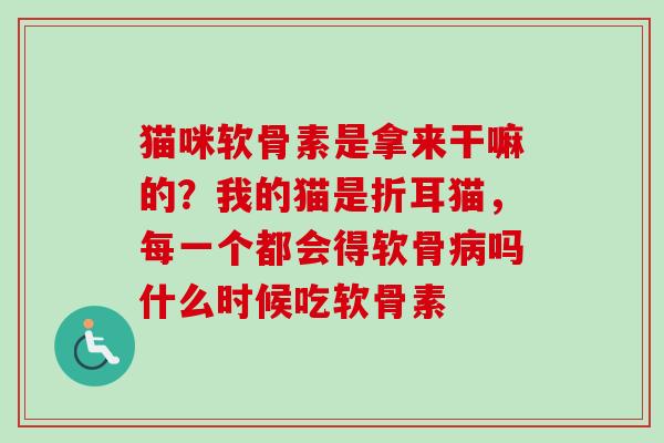 猫咪软骨素是拿来干嘛的？我的猫是折耳猫，每一个都会得软骨病吗什么时候吃软骨素