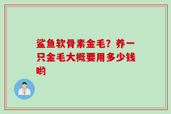 鲨鱼软骨素金毛？养一只金毛大概要用多少钱哟