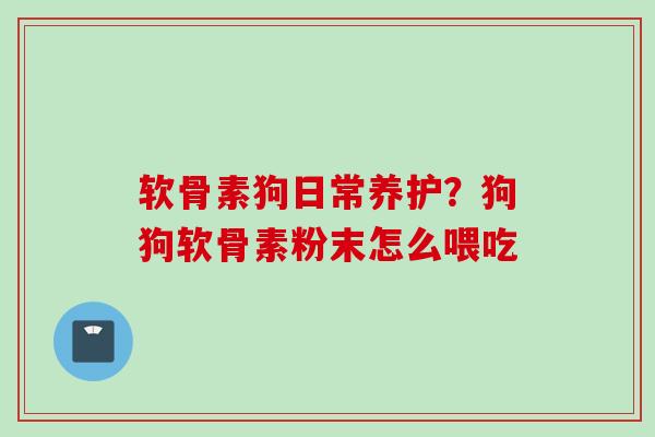 软骨素狗日常养护？狗狗软骨素粉末怎么喂吃