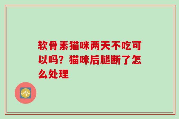 软骨素猫咪两天不吃可以吗？猫咪后腿断了怎么处理