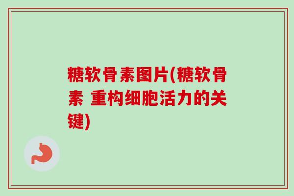糖软骨素图片(糖软骨素 重构细胞活力的关键)