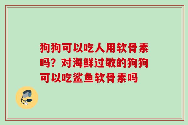 狗狗可以吃人用软骨素吗？对海鲜过敏的狗狗可以吃鲨鱼软骨素吗