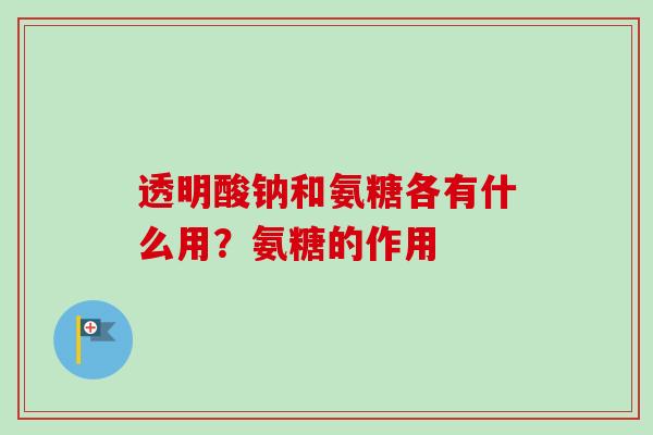 透明酸钠和氨糖各有什么用？氨糖的作用