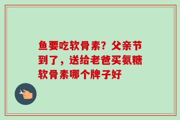 鱼要吃软骨素？父亲节到了，送给老爸买氨糖软骨素哪个牌子好