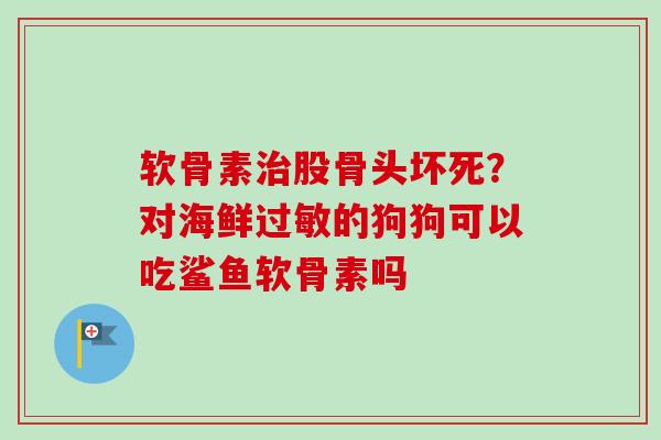 软骨素治股骨头坏死？对海鲜过敏的狗狗可以吃鲨鱼软骨素吗