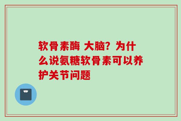 软骨素酶 大脑？为什么说氨糖软骨素可以养护关节问题