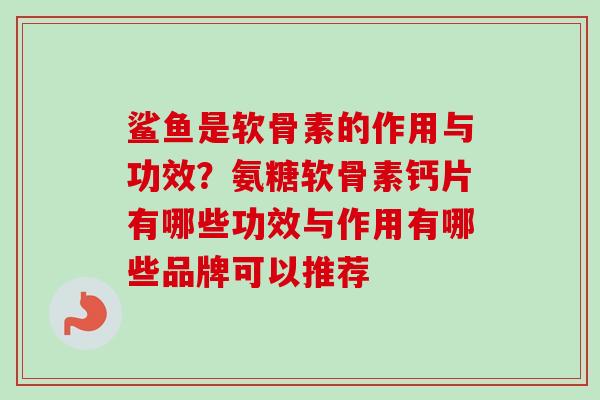 鲨鱼是软骨素的作用与功效？氨糖软骨素钙片有哪些功效与作用有哪些品牌可以推荐