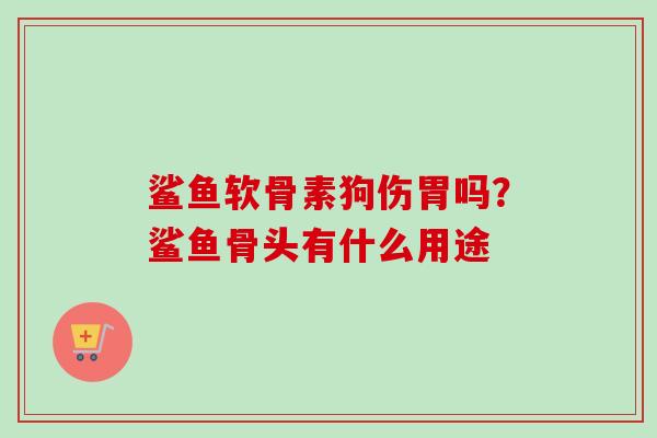 鲨鱼软骨素狗伤胃吗？鲨鱼骨头有什么用途