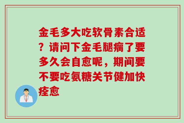 金毛多大吃软骨素合适？请问下金毛腿瘸了要多久会自愈呢，期间要不要吃氨糖关节健加快痊愈