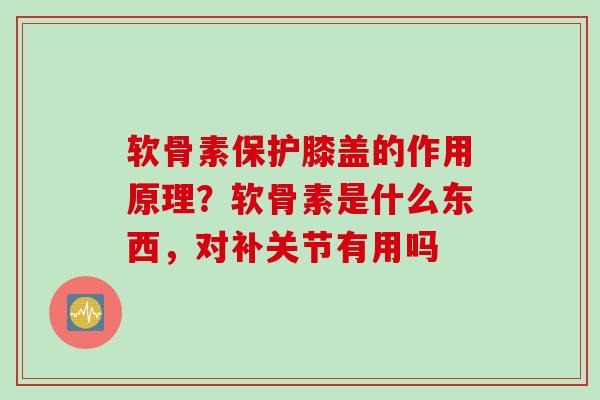 软骨素保护膝盖的作用原理？软骨素是什么东西，对补关节有用吗