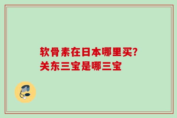 软骨素在日本哪里买？关东三宝是哪三宝