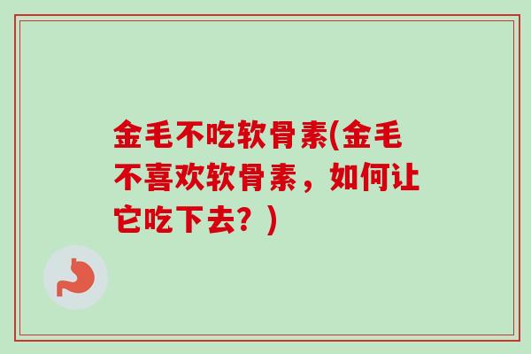 金毛不吃软骨素(金毛不喜欢软骨素，如何让它吃下去？)