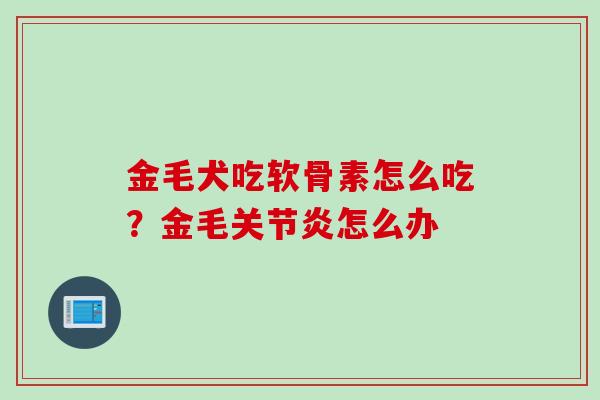 金毛犬吃软骨素怎么吃？金毛关节炎怎么办