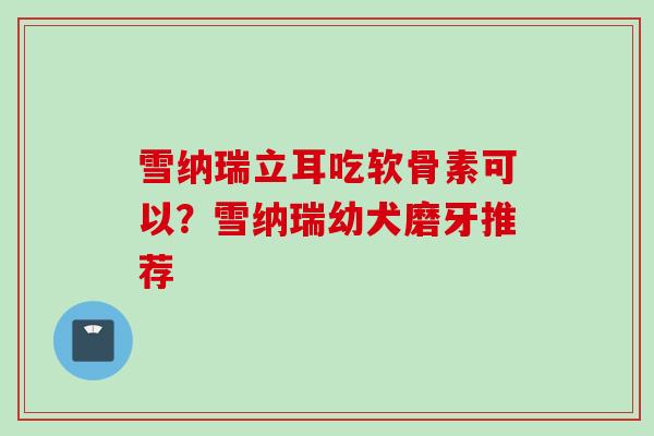 雪纳瑞立耳吃软骨素可以？雪纳瑞幼犬磨牙推荐