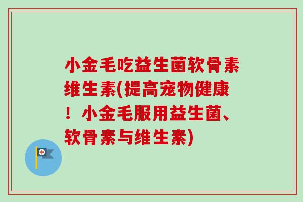 小金毛吃益生菌软骨素维生素(提高宠物健康！小金毛服用益生菌、软骨素与维生素)