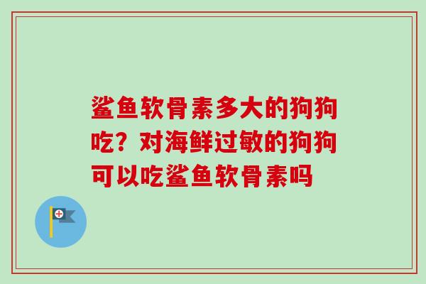 鲨鱼软骨素多大的狗狗吃？对海鲜过敏的狗狗可以吃鲨鱼软骨素吗