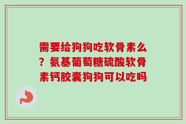 需要给狗狗吃软骨素么？氨基葡萄糖硫酸软骨素钙胶囊狗狗可以吃吗