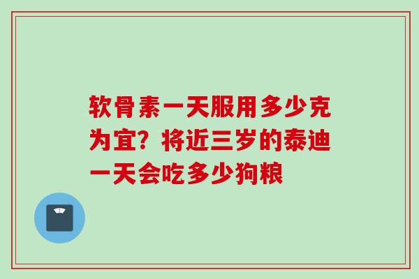 软骨素一天服用多少克为宜？将近三岁的泰迪一天会吃多少狗粮
