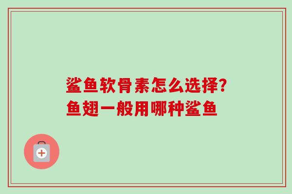 鲨鱼软骨素怎么选择？鱼翅一般用哪种鲨鱼
