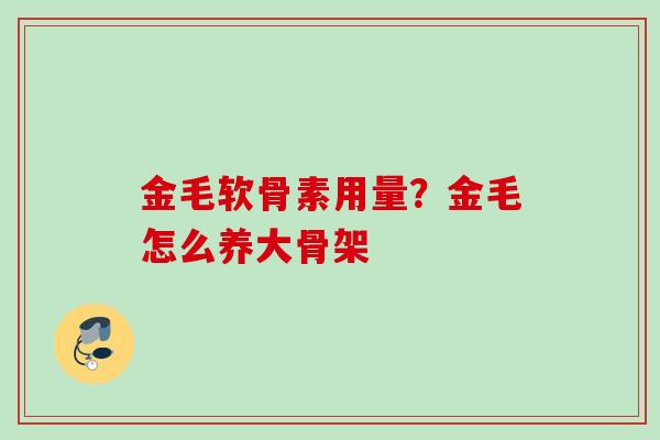 金毛软骨素用量？金毛怎么养大骨架